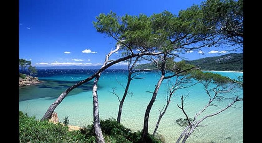 Petit Coin De Paradis Les Pieds Dans L'Eau La Londe-les-Maures Exteriér fotografie